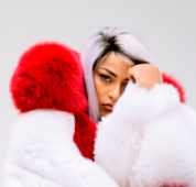 british singer stefflon don